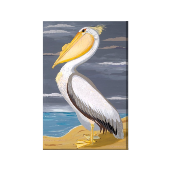 ode to audubon white pelican 24X36 wrapped