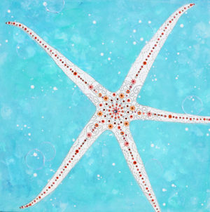 Starfish Wish