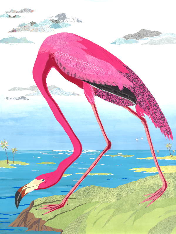 ode to audubon American flamingo
